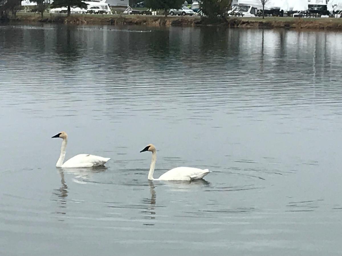 The Floatel Ξενοδοχείο Penetanguishene Εξωτερικό φωτογραφία